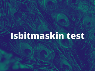 Isbitmaskin test